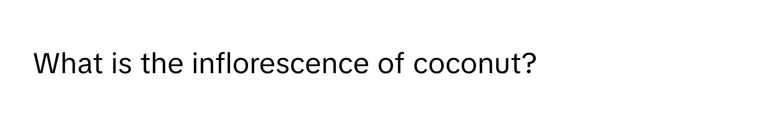 What is the inflorescence of coconut?