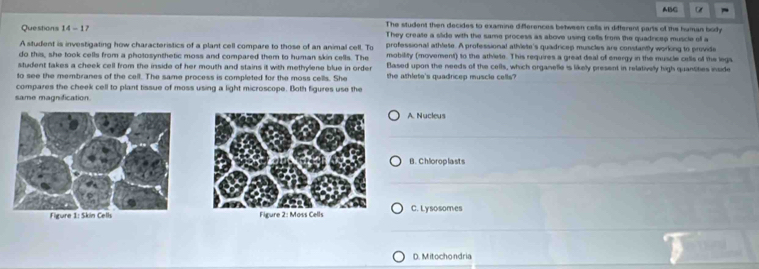 ABC
Questions 14 - 17 The student then decides to examine differences between cells in different parts of the human body
They create a slide with the same process as above using cells from the quadricep muscle off a
A student is investigating how characteristics of a plant cell compare to those of an animal cell. To professional athlete. A professional athlete's quadricep muscles are constantly working to provide
do this, she took cells from a photosynthetic moss and compared them to human skin cells. The mobility (moverent) to the athiete. This requires a great deal of energy in the muscle cells of the legs
student takes a cheek cell from the inside of her mouth and stains it with methylene blue in order Based upon the needs of the cells, which organelie is likely present in relatively high quantities inside
to see the membranes of the cell. The same process is completed for the moss cells. She the athlete's quadricep muscle cells?
compares the cheek cell to plant tissue of moss using a light microscope. Both figures use the
same magnification.
A. Nucleus
B. Chloroplasts
C. Lysosomes
D. Mitochondria