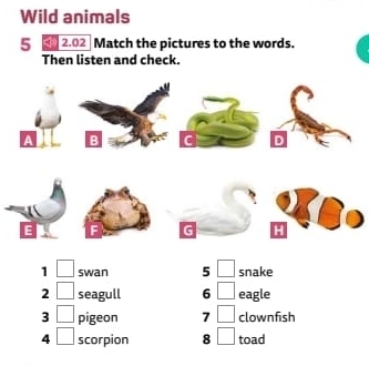 Wild animals 
5 φ 2.02 Match the pictures to the words. 
Then listen and check. 
A : 
D 
E 
G 
1 swan 5 snake 
2 seagull 6 eagle 
3 pigeon 7 clownfish 
4 scorpion 8 toad