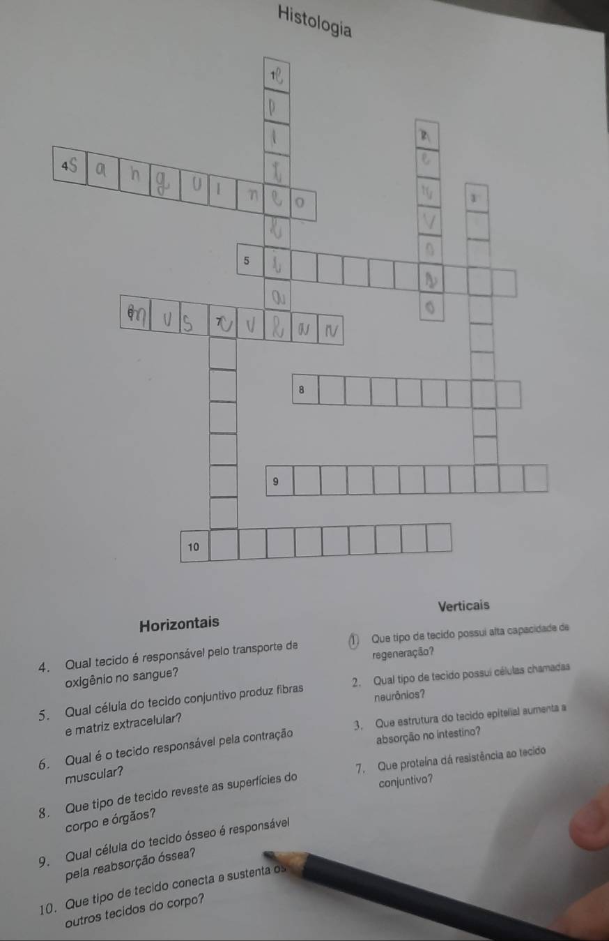 Histologia 
Verticais 
Horizontais 
4. Qual tecido é responsável pelo transporte de 1 Que típo de tecido possui alta capacidade de 
regeneração? 
oxigênio no sangue? 
5. Qual célula do tecido conjuntivo produz fibras 2. Qual tipo de tecido possui células chamadas 
neurônios? 
e matriz extracelular? 
6. Qual é o tecido responsável pela contração 3. Que estrutura do tecido epitelial aumenta a 
absorção no intestino? 
muscular? 
8. Que tipo de tecido reveste as superfícies do 7. Que proteína dá resistência ao tecido 
conjuntivo? 
corpo e órgãos 
9. Qual célula do tecido ósseo é responsável 
pela reabsorção óssea? 
10. Que tipo de tecido conecta e sustenta o 
outros tecidos do corpo?