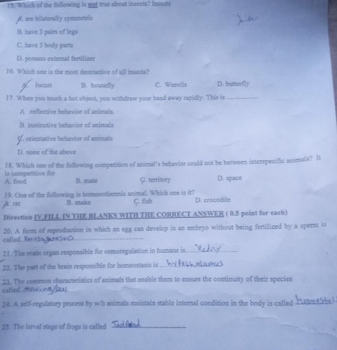 Which of the following is not true about insects? Insects
K. are bilaterally symmetric
B. have 3 pairs of legs
C. have 3 body parts
D. possess external fertilizer
16. Which one is the most destructive of all insects?
H locust B. housefly C. Weavils D. butterfly
17. When you touch a hot object, you withdraw your hand away rapidly. This is_
A reflective behavior of animals.
B. instinctive behavior of animals
oenative behavior of animals
D. none of the above
18. Which one of the following competition of animal's behavior could not be between interspecific animals? It
is competition for B. mate C. territory D. space
A. food
19. One of the following is homoeothermic animal. Which one is it?
A. ras B. snake C. fish D. crocodile
Direction IV.FILL IN THE BLANKS WITH THE CORRECT ANSWER ( 0.5 point for each)
20. A form of reproduction in which an egg can develop in an embryo without being fertilized by a sperm is
called. Bas ringans_
21. The main organ responsible for osmoregulation in humans is_
22. The part of the brain responsible for homeostasis is_
23. The common characteristics of animals that enable them to ensure the continuity of their species
called.MREwaysa
24. A self-regulatory process by w/h animals maintain stable internal condition in the body is called_
25. The larval stage of frogs is called_