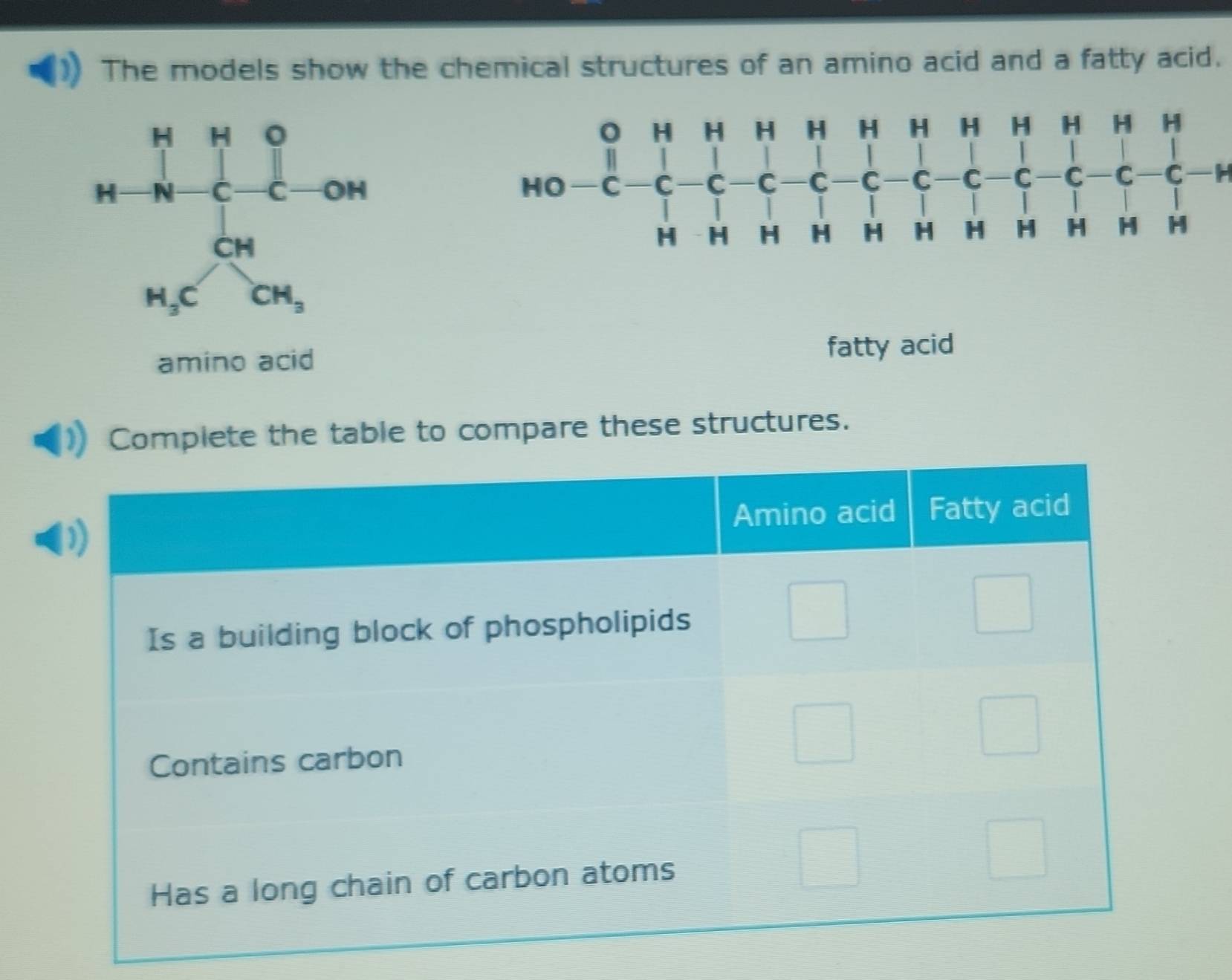 The models show the chemical structures of an amino acid and a fatty acid.
H
amino acid fatty acid
Complete the table to compare these structures.