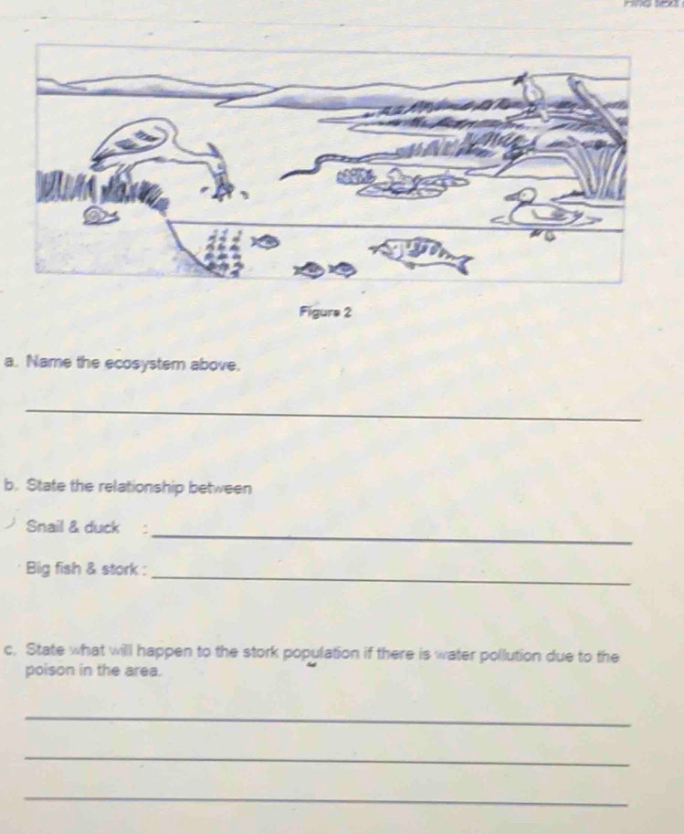 Figure 2 
a. Name the ecosystem above. 
_ 
b. State the relationship between 
_ 
Snail & duck : 
_ 
Big fish & stork : 
c. State what willl happen to the stork population if there is water pollution due to the 
poison in the area. 
_ 
_ 
_