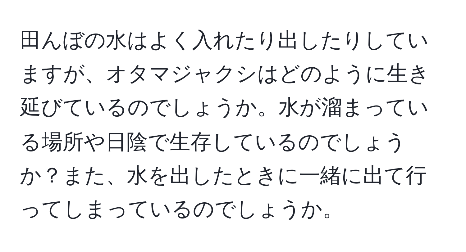 田んぼの水はよく入れたり出したりしていますが、オタマジャクシはどのように生き延びているのでしょうか。水が溜まっている場所や日陰で生存しているのでしょうか？また、水を出したときに一緒に出て行ってしまっているのでしょうか。