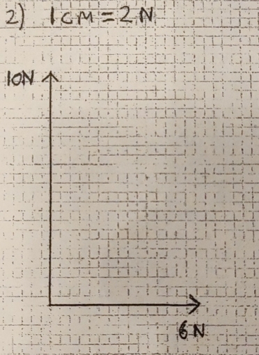 1cm=2N
lON 
N