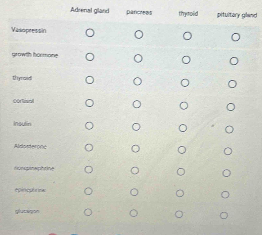 Adrenal gland nd