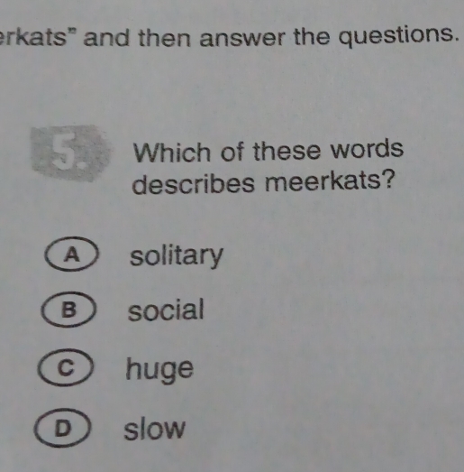 erkats" and then answer the questions.
5. Which of these words
describes meerkats?
A solitary
B social
c huge
D slow