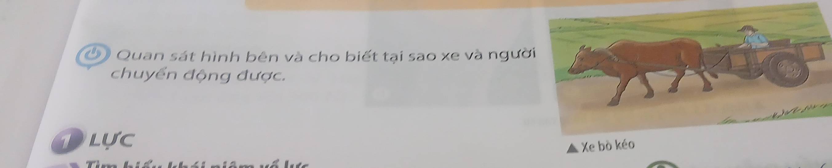 Ở Quan sát hình bên và cho biết tại sao xe và ngườ 
chuyển động được. 
Dlực 
Xe bò kéo