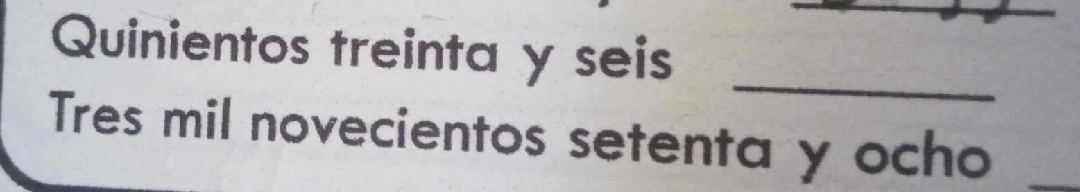 Quinientos treinta y seis 
_ 
Tres mil novecientos setenta y ocho