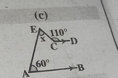 110°
x D
c
60° B
A