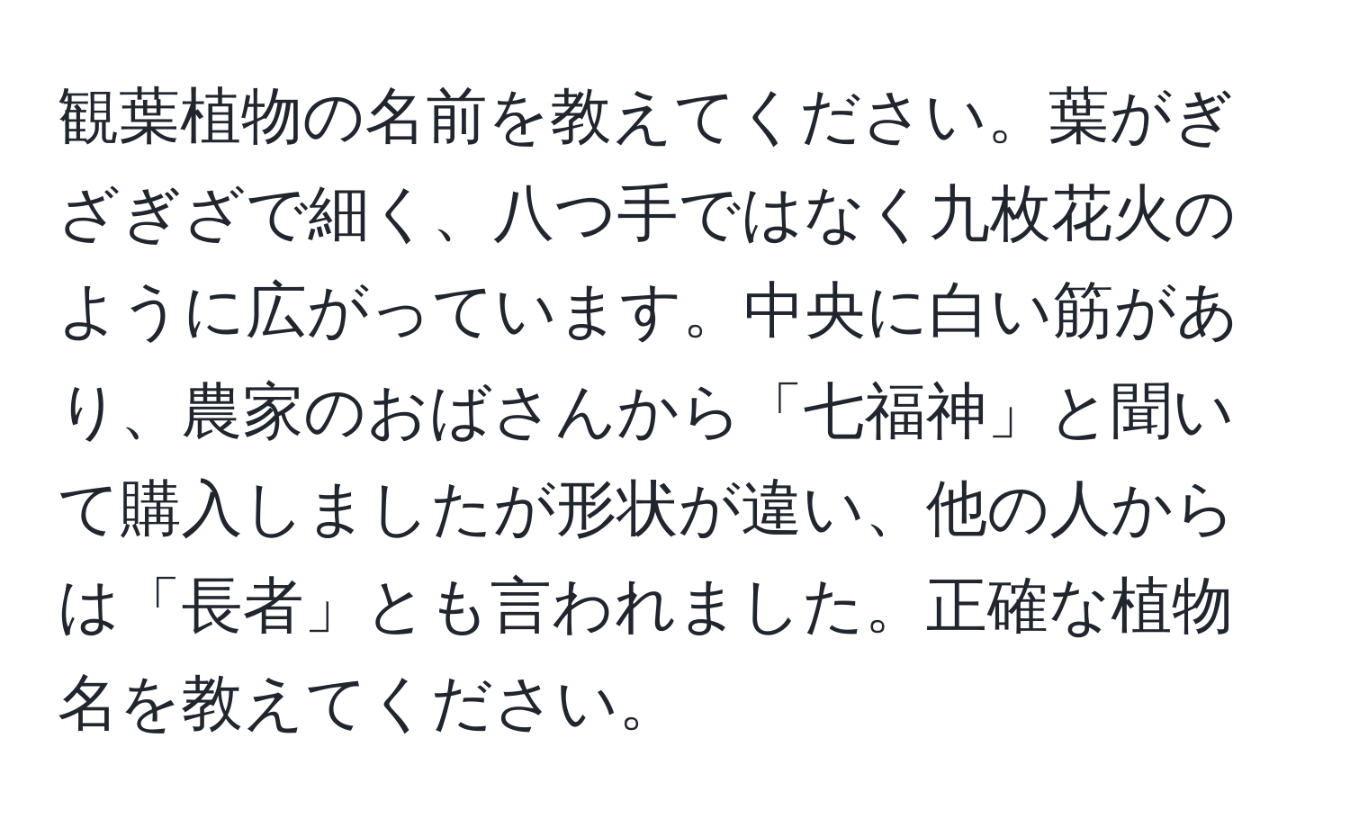 観葉植物の名前を教えてください。葉がぎざぎざで細く、八つ手ではなく九枚花火のように広がっています。中央に白い筋があり、農家のおばさんから「七福神」と聞いて購入しましたが形状が違い、他の人からは「長者」とも言われました。正確な植物名を教えてください。