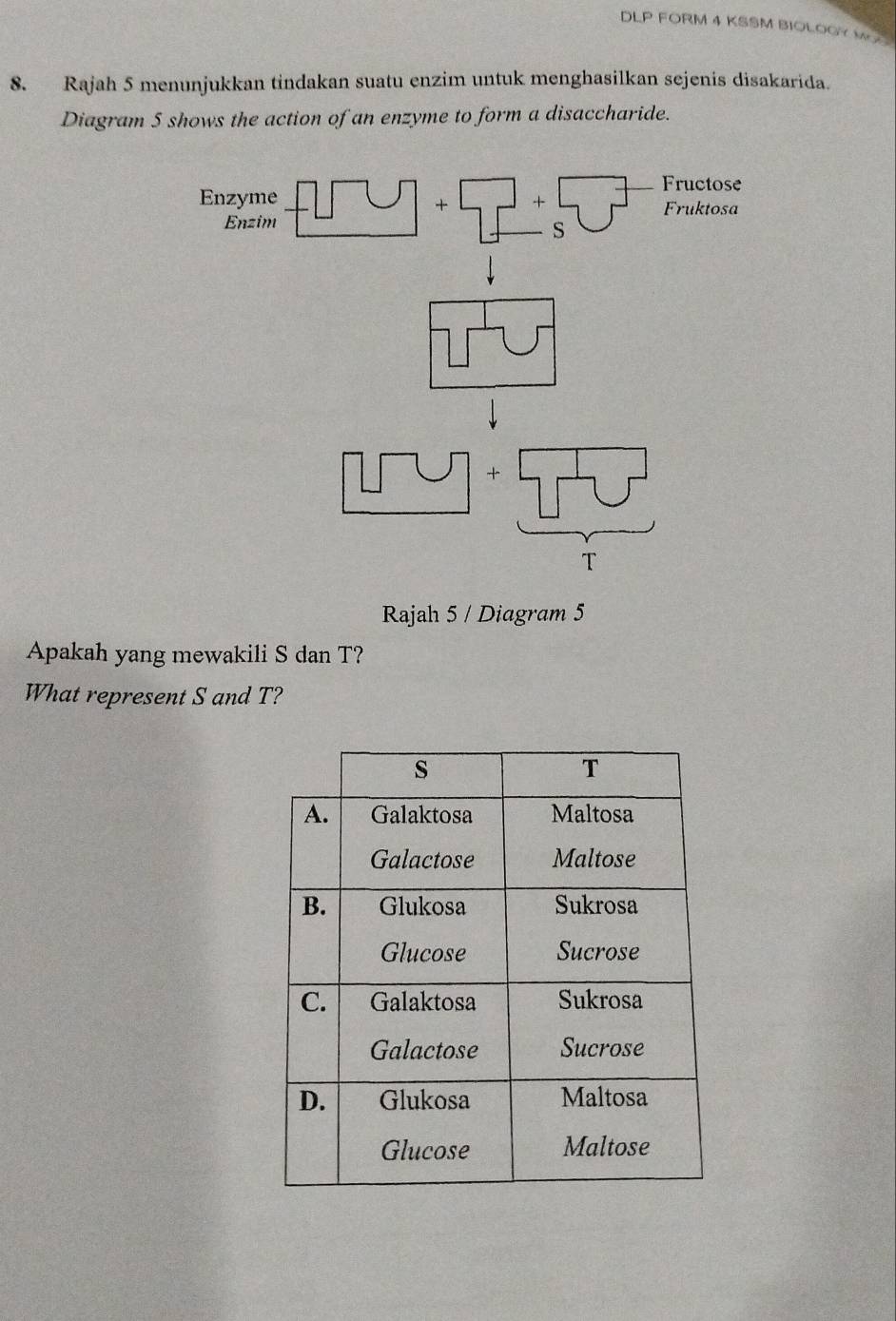 DLP FORM 4 KSSM BIOLOGY MO 
8. Rajah 5 menunjukkan tindakan suatu enzim untuk menghasilkan sejenis disakarida. 
Diagram 5 shows the action of an enzyme to form a disaccharide. 
Enzyme +□ Fructose 
+ Fruktosa 
Enzim 
S 
+ 
T 
Rajah 5 / Diagram 5 
Apakah yang mewakili S dan T? 
What represent S and T?