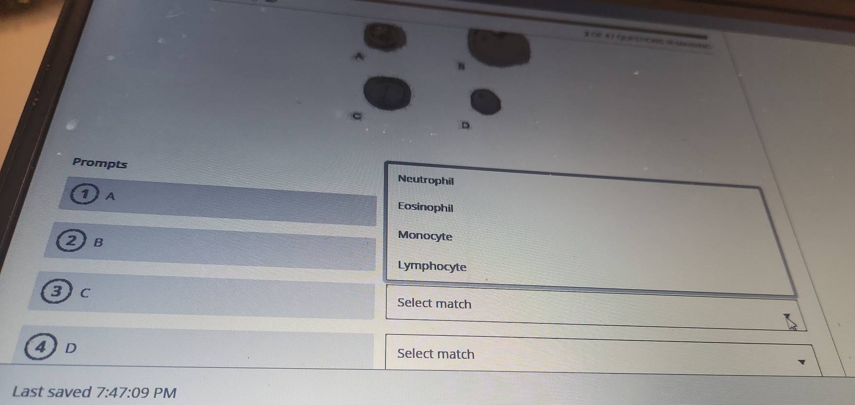 Prompts Neutrophil 
1A 
Eosinophil 
2 B 
Monocyte 
Lymphocyte
3 Jc 
Select match 
4D Select match 
Last saved 7:47:09 PM