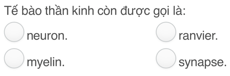Tế bào thần kinh còn được gọi là:
bigcirc ranvier
bigcirc neuron. I
bigcirc 
bigcirc myelin. synapse.