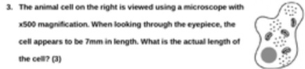 The animal cell on the right is viewed using a microscope with
x500 magnification. When looking through the eyepiece, the 
cell appears to be 7mm in length. What is the actual length of 
the celli? (3)