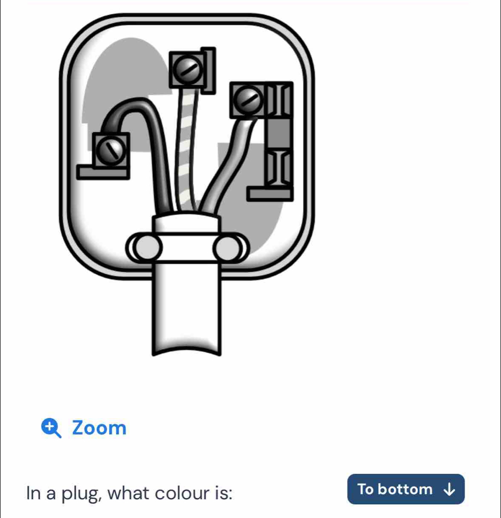 Zoom 
In a plug, what colour is: 
To bottom