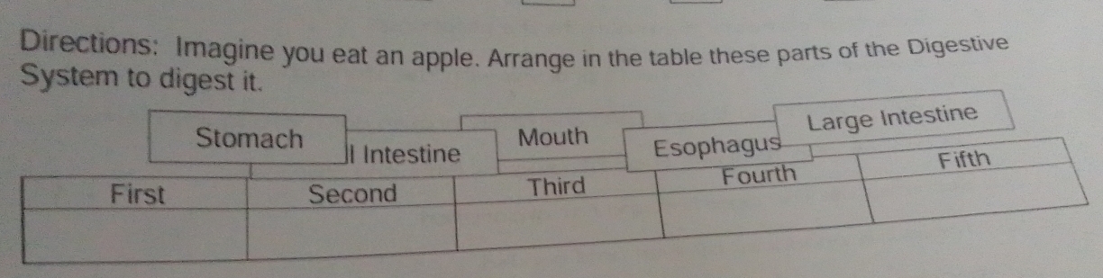 Directions: Imagine you eat an apple. Arrange in the table these parts of the Digestive 
System to