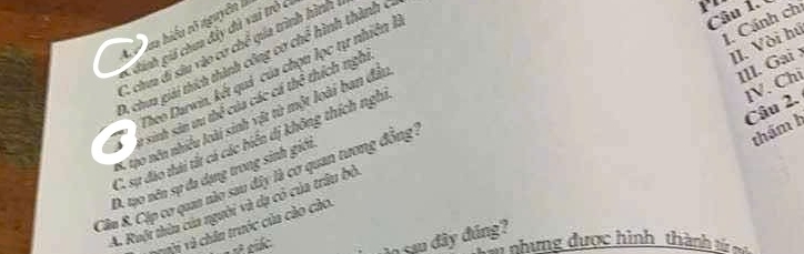 Cánh chỉ
X ma hiểu tõ nguyên là
* hánh giá chua đây dủ vai trò ở
II. Vòi hú
C chua di sâu vào cơ chế qúa trình hình 
9. cha giải thích thành công cơ chế hình thành ở
II. Gai 
Theo Darwin, kết quả của chọn lọc tự nhiên là
Câu 2. IV. Chi
* sinh sản vu thể của các cá thể thích nghi
*tạo nên nhiều loài sinh vật từ một loài ban đầu
C. sự đảo thái tắt cá các biển dị không thích nghi
D. tạo nên sự đa dụng trong sinh giới
Câu 8. Cập cơ quan nào sau dây là cơ quan tương đồng 
thám h
A. Ruột thêu của người và dạ có của trâu bò
v i và chân trước của cào cào.
các àn sau đây đúng? * nhưng được hình thành t