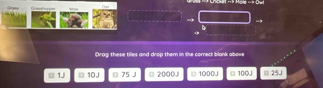 Grass --> Cricket --> Mole --> Owl 
Grass Grasshopper Mole Owl 
--> 
Drag these tiles and drop them in the correct blank above
1J 10J 75 J 2000J 1000J 100J 25J