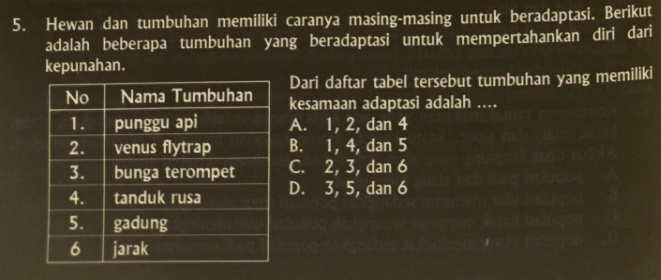 Hewan dan tumbuhan memiliki caranya masing-masing untuk beradaptasi. Berikut
adalah beberapa tumbuhan yang beradaptasi untuk mempertahankan diri dari
kepunahan.
Dari daftar tabel tersebut tumbuhan yang memiliki
kesamaan adaptasi adalah .
A. 1, 2, dan 4
B. 1, 4, dan 5
C. 2, 3, dan 6
D. 3, 5, dan 6