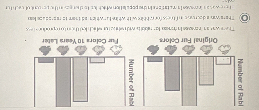 There was an increase in fitness for rabbits with white fur which led them to reproduce less
o There was a decrease in ftness for rabbits with white fur which led them to reproduce less
There was an increase in mutations in the population which led to changes in the percent of each fur