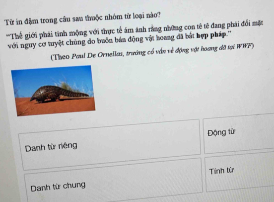 Từ in đậm trong câu sau thuộc nhóm từ loại nào? 
*Thế giới phải tinh mộng với thực tế ám ảnh rằng những con tê tê đang phải đổi mặt 
với nguy cơ tuyệt chủng do buôn bán động vật hoang dã bất hợp pháp.'' 
(Theo Paul De Ornellas, trưởng cổ vấn về động vật hoang dã tại WWF) 
Động từ 
Danh từ riêng 
Danh từ chung Tính từ