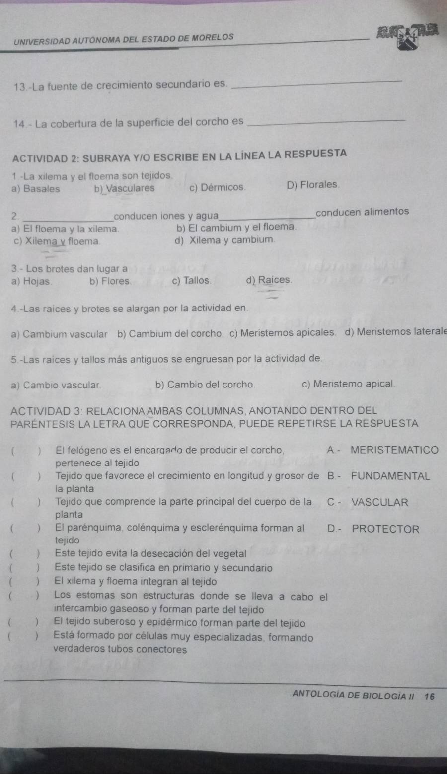 UNIVERSIDAD AUTÓNOMA DEL ESTADO DE MORELOS
13.-La fuente de crecimiento secundario es.
_
14.- La cobertura de la superficie del corcho es_
ACTIVIDAD 2: SUBRAYA Y/O ESCRIBE EN LA LÍNEA LA RESPUESTA
1 -La xilema y el floema son tejidos.
a) Basales b)_Vasculares c) Dérmicos. D) Florales.
2. _conducen iones y agua _conducen alimentos
a) El floema y la xilema. b) El cambium y el floema.
c) Xilema γ floema. d) Xilema y cambium.
3.- Los brotes dan lugar a
a) Hojas. b) Flores. c) Tallos. d) Raices.
4.-Las raices y brotes se alargan por la actividad en.
a) Cambium vascular b) Cambium del corcho. c) Meristemos apicales. d) Meristemos laterale
5.-Las raices y tallos más antiguos se engruesan por la actividad de.
a) Cambio vascular b) Cambio del corcho. c) Meristemo apical.
ACTIVIDAD 3: RELACIONAAMBAS COLUMNAS, ANOTANDO DENTRO DEL
PARENTESIS LA LETRA QUE CORRESPONDA, PUEDE REPETIRSE LA RESPUESTA
) El felógeno es el encarqado de producir el corcho, A  MERISTEMATICO
pertenece al tejido
 ) Tejido que favorece el crecimiento en longitud y grosor de B FUNDAMENTAL
la planta
 ) Tejido que comprende la parte principal del cuerpo de la C.- VASCULAR
planta
  El parénquima, colénquima y esclerénquima forman al D.- PROTECTOR
tejido
( ) Este tejido evita la desecación del vegetal
 . ) Este tejido se clasifica en primario y secundario
( ) El xilema y floema integran al tejido
 ) Los estomas son estructuras donde se lleva a cabo el
intercambio gaseoso y forman parte del tejido
 ) El tejido suberoso y epidérmico forman parte del tejido
 ) Está formado por células muy especializadas, formando
verdaderos tubos conectores
ANTOLOGÍA DE BIOLOGÍA II 16