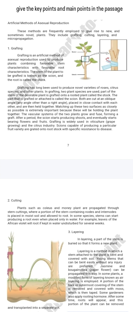 give the key points and main points in the passage
Artificial Methods of Asexual Reproduction
These methods are frequently employed to give rise to new, and
sometimes novel, plants. They include grafting, cutting, layering, and
micropropagation.
1. Grafting
Grafting is an artificial method of
asexual reproduction used to produce
plants combining favorable stem
characteristics with favorable root
characteristics. The stem of the plant to
be grafted is known as the scion, and
the root is called the stock.
Grafting has long been used to produce novel varieties of roses, citrus
species, and other plants. In grafting, two plant species are used; part of the
stem of the desirable plant is grafted onto a rooted plant called the stock. The
part that is grafted or attached is called the scion. Both are cut at an oblique
angle (any angle other than a right angle), placed in close contact with each
other, and are then held together. Matching up these two surfaces as closely
as possible is extremely important because these will be holding the plant
together. The vascular systems of the two plants grow and fuse, forming a
graft. After a period, the scion starts producing shoots, and eventually starts
bearing flowers and fruits. Grafting is widely used in viticulture (grape
growing) and the citrus industry. Scions capable of producing a particular
fruit variety are grated onto root stock with specific resistance to disease.
2. Cutting
Plants such as coleus and money plant are propagated through
stem cuttings, where a portion of the stem containing nodes and internodes
is placed in moist soil and allowed to root. In some species, stems can start
producing a root even when placed only in water. For example, leaves of the
African violet will root if kept in water undisturbed for several weeks.
3. Layering
In layering, a part of the stem is
buried so that it forms a new plant.
Layering is a method in which a
stem attached to the plant is bent and
covered with soil. Young stems that
can be bent easily without any injury
are preferred. Jasmine and
bougainvillea (paper flower) can be
propagated this way. In some plants, a
modified form of layering known as air
layering is employed. A portion of the
bark or outermost covering of the stem
is removed and covered with moss .
which is then taped. Some gardeners
also apply rooting hormone. After some
time, roots will appear, and this
portion of the plant can be removed
and transplanted into a separate pot.