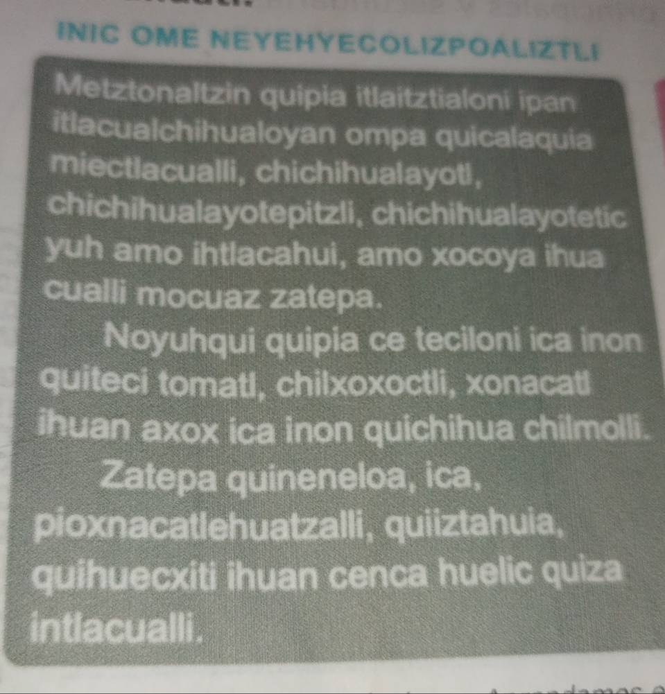 INIC OME NEYEHYECOLIZPOALIZTLI 
Metztonaltzin quipia itlaitztialoni ipan 
itlacualchihualoyan ompa quicalaquia 
miectlacualli, chichihualayot!, 
chichihualayotepitzli, chichihualayotetic 
yuh amo ihtlacahui, amo xocoya ihua 
cualli mocuaz zatepa. 
Noyuhqui quipia ce teciloni ica inon 
quiteci tomatl, chilxoxoctli, xonacatl 
ihuan axox ica inon quichihua chilmolli. 
Zatepa quineneloa, ica, 
pioxnacatlehuatzalli, quiiztahuia, 
quihuecxiti ihuan cenca huelic quiza 
intlacualli.