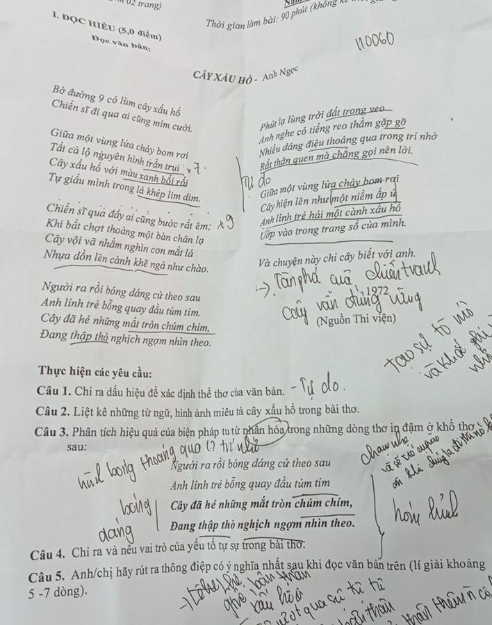 trang)
Thời gian làm bài: 90 phút (không n N
1. ĐQC HIÈU (5,0 điểm) Đọc văn bản;
CâY XÂU Hỏ - Anh Ngọc
Bờ đường 9 có lùm cây xấu hồ
Chiến sĩ đi qua ai cũng mim cười.
Phút lạ lùng trời đất trong veo
Anh nghe có tiếng reo thầm gặp gỡ
Giữa một vùng lửa cháy bom rơi
Nhiều đáng điệu thoáng qua trong tri nhớ
Tất cả lộ nguyên hình trần trụ Rắt thân quen mà chăng gọi nên lời.
Cây xấu hổ với màu xanh bối rối
Tự giấu mình trong lá khép lim dim.
Giữa một vùng lửa cháy bom rai
Cây hiện lên như một niềm ập
Chiến sĩ quả đẩy ai cũng bước rất êm;
Anh linh trẻ hái một cành xâu hô
Khi bất chợt thoảng một bàn chân lạ
Vớp vào trong trang sổ của mình.
Cây vội vã nhắm nghìn con mắt lá
Nhựa dồn lên cành khẽ ngả như chào.
Và chuyện này chi cây biết với anh.
Người ra rồi bóng dáng cứ theo sau
Anh lính trẻ bỗng quay đầu tùm tim.
Cây đã hé những mắt tròn chúm chim,
(Nguồn Thi viện)
Đang thập thờ nghịch ngợm nhìn theo.
Thực hiện các yêu cầu:
Câu 1. Chỉ ra dấu hiệu để xác định thể thơ của văn bản.
Câu 2. Liệt kê những từ ngữ, hình ảnh miêu tả cây xấu hồ trong bài thơ.
Câu 3. Phân tích hiệu quả của biện pháp tu từ nhân hóa trong những dòng thơ in đậm ở khổ
sau:
Người ra rồi bóng dáng cứ theo sau
Anh lính trẻ bổng quay đầu tùm tỉm
Cây đã hé những mắt tròn chúm chím,
Đang thập thò nghịch ngợm nhìn theo.
Câu 4. Chỉ ra và nều vai trò của yếu tổ tự sự trong bài thơ.
Câu 5. Anh/chị hãy rút ra thông điệp có ý nghĩa nhất sau khi đọc văn bản trên (lí giải khoảng
5 -7 dòng).