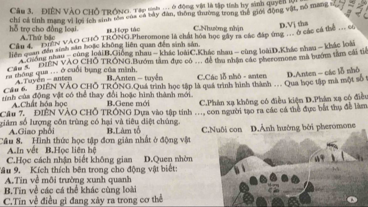 ĐIÊN VÀO CHỗ TRÓNG. Tập tnh . ở động vật là tập tính hy sinh quyền 
chí cả tính mạng vì lợi ích sinh tôn của cả bày đàn, thông thường trong thế giới động vật, nó mang à ; 3
hỗ trợ cho đồng loại. B.Hợp tác C.Nhường nhịn
D.Vj tha
Câu 4. ĐIEN VAO CHO TRÓNG.Pheromone là chất hóa học gây ra các đáp ứng . ở các cá thể . có
A.Thứ bậc
liên quan đến sinh sản hoặc không liên quan đến sinh sản.
A.Giống nhau - cùng loàiB.Giống nhau - khác loàiC.Khác nhau - cùng loàiD.Khác nhau ~ khác loài
Ca s'' ĐIÊN VÀO CHỐ TRÓNG.Bướm tằm đực có . đề thu nhận các pheromone mà bướm tằm cái tiế
ra thông qua ... ở cuối bụng của mình.
A. Tuyên - anten
B.Anten - tuyến C.Các lỗ nhỏ - anten D.Anten - các lỗ nhỏ
Cầu 6.   ĐIÊN VÀO CHỐ TRÓNG.Quá trình học tập là quá trình hình thành ... Qua học tập mà một số t
tính của động vật có thể thay đổi hoặc hình thành mới.
A.Chất hóa học B.Gene mới
C.Phản xạ không có điều kiện D.Phản xạ có điều
Câu 7 ĐIÊN VÀO CHỗ TRÓNG Dựa vào tập tính .., con người tạo ra các cá thể đực bất thụ đề làm
giảm số lượng côn trùng có hại và tiêu diệt chúng.
A.Giao phối B.Làm tổ C.Nuôi con D.Ảnh hưởng bởi pherómone
Câu 8.  Hình thức học tập đơn giản nhất ở động vật
A.In vết B.Học liên hệ
C.Học cách nhận biết không gian D.Quen nhờn
Vâu 9. Kích thích bên trong cho động vật biết:
A.Tin về môi trường xunh quanh
B.Tin về các cá thể khác cùng loài
C.Tin về điều gì đang xảy ra trong cơ thể