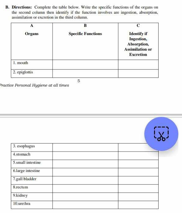 Directions: Complete the table below. Write the specific functions of the organs on 
the second column then identify if the function involves are ingestion, absorption, 
assimilation or excretion in the third column. 
Practice Personal H_y giene at all times