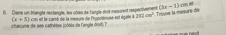 Dans un triangle rectangle, les côtés de l'angle droit mesurent respectivement (3x-1)cm et
(x+5)cm et le carré de la mesure de l'hypoténuse est égale à 202cm^2. Trouve la mesure de 
chacune de ses cathètes (côtés de l'angle droit) ?