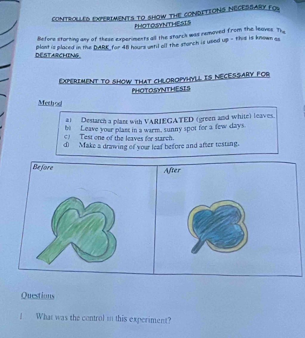 CONTROLLED EXPERIMENTS TO SHOW THE CONDITIONS NECESSARY FOR 
PHOTOSYNTHESIS 
Before starting any of these experiments all the starch was removed from the leaves. The 
plant is placed in the DARK for 48 hours until all the starch is used up - this is known as 
DESTARCHING. 
EXPERIMENT TO SHOW THAT CHLOROPYHYLL IS NECESSARY FOR 
PHOTOSYNTHESIS 
Method 
a) Destarch a plant with VARIEGATED (green and white) leaves. 
b) Leave your plant in a warm, sunny spot for a few days
c) Test one of the leaves for starch. 
d) Make a drawing of your leaf before and after testing. 
Before 
After 
Questions 
1 What was the control in this experiment?