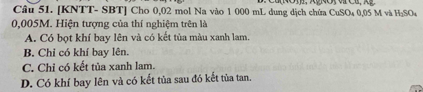 [KNTT- SBT] Cho 0,02 mol Na vào 1 000 mL dung dịch chứa CuSO₄ 0,05 M và H_2SO_4
0,005M. Hiện tượng của thí nghiệm trên là
A. Có bọt khí bay lên và có kết tủa màu xanh lam.
B. Chỉ có khí bay lên.
C. Chỉ có kết tủa xanh lam.
D. Có khí bay lên và có kết tủa sau đó kết tủa tan.