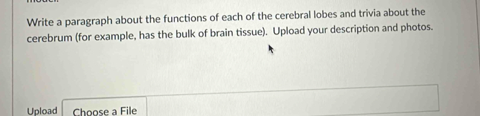 Write a paragraph about the functions of each of the cerebral lobes and trivia about the 
cerebrum (for example, has the bulk of brain tissue). Upload your description and photos. 
Upload Choose a File