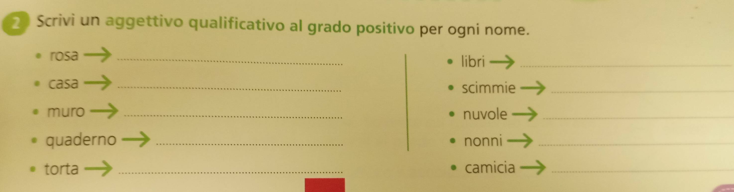 Scrivi un aggettivo qualificativo al grado positivo per ogni nome. 
rosa _libri_ 
casa _scimmie_ 
muro _nuvole_ 
quaderno _nonni_ 
torta _camicia_