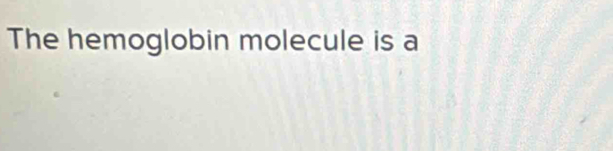 The hemoglobin molecule is a