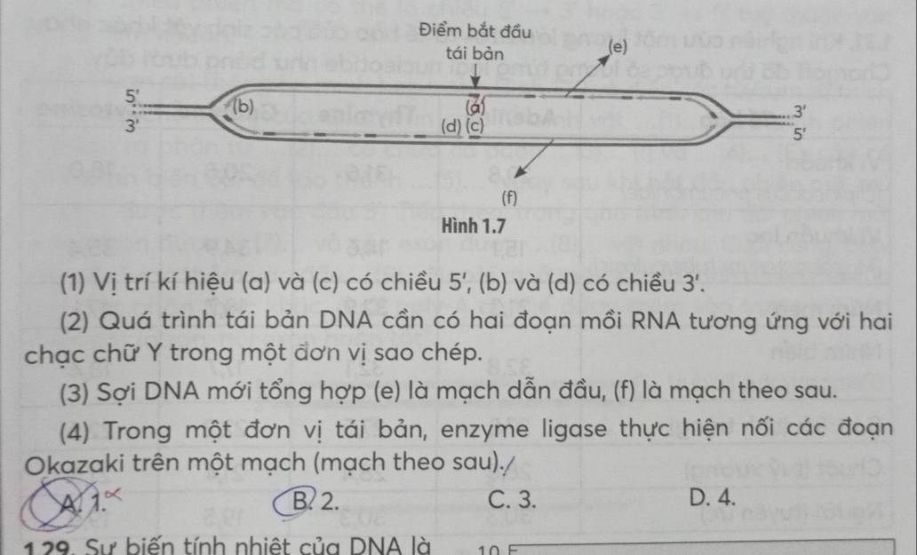 (1) Vị trí kí hiệu (a) và (c) có chiều 5' , (b) và (d) có chiều 3'.
(2) Quá trình tái bản DNA cần có hai đoạn mồi RNA tương ứng với hai
chạc chữ Y trong một đơn vị sao chép.
(3) Sợi DNA mới tổng hợp (e) là mạch dẫn đầu, (f) là mạch theo sau.
(4) Trong một đơn vị tái bản, enzyme ligase thực hiện nối các đoạn
Okazaki trên một mạch (mạch theo sau)./
A. 1.º B? 2. C. 3. D. 4.
129. Sự biến tính nhiệt của DNA là 10