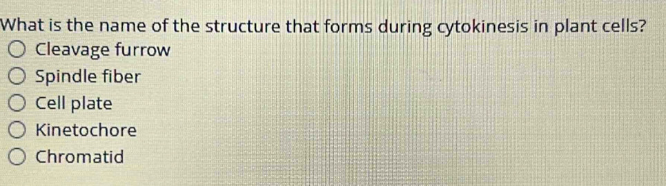 What is the name of the structure that forms during cytokinesis in plant cells?
Cleavage furrow
Spindle fiber
Cell plate
Kinetochore
Chromatid