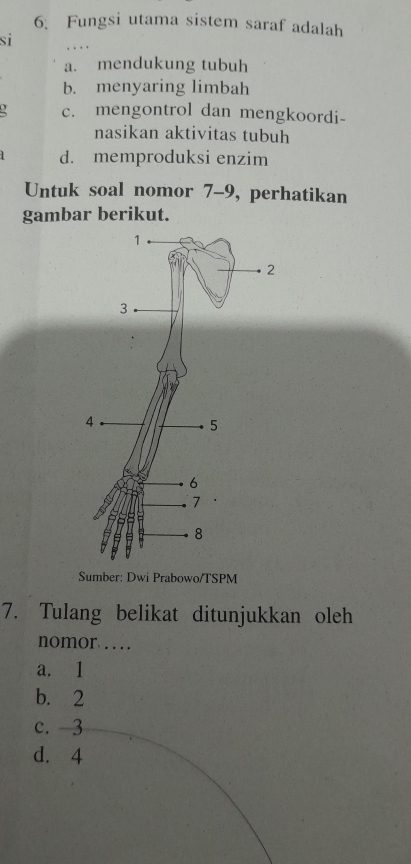 Fungsi utama sistem saraf adalah
si
a. mendukung tubuh
b. menyaring limbah
c. mengontrol dan mengkoordi-
nasikan aktivitas tubuh
d. memproduksi enzim
Untuk soal nomor 7-9, perhatikan
gambar berikut.
Sumber: Dwi Prabowo/TSPM
7. Tulang belikat ditunjukkan oleh
nomor …
a. 1
b. 2
c. 3
d. 4