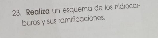 Realiza un esquema de los hidrocar- 
buros y sus ramificaciones.