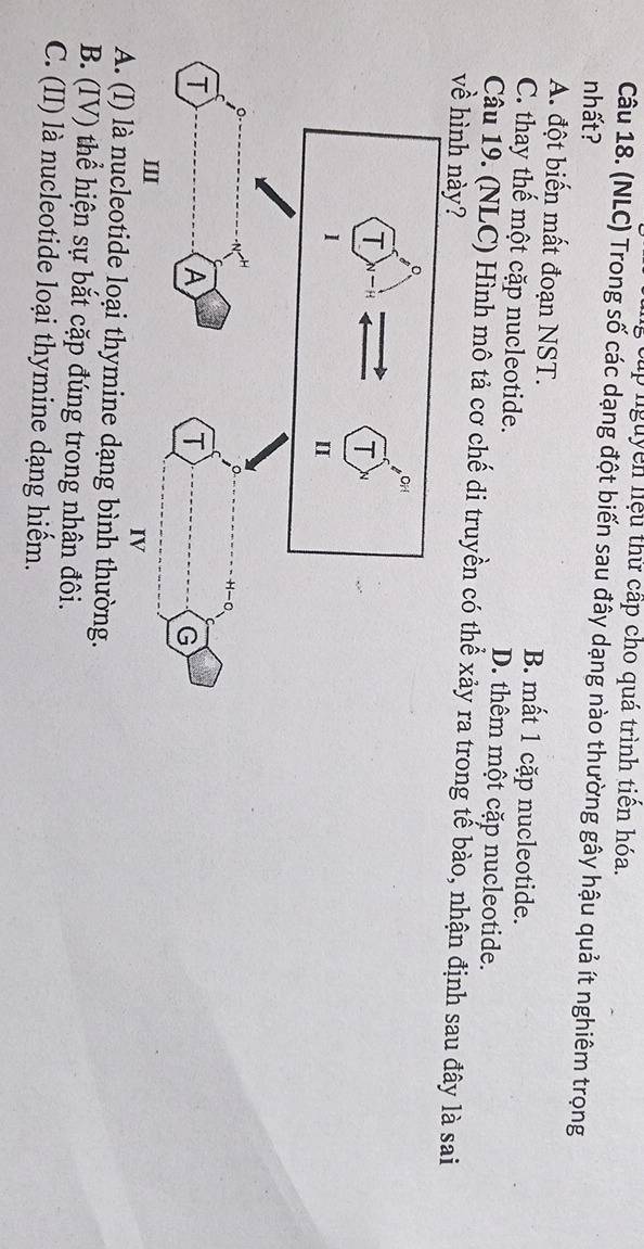 cup nguyên hiệu thử cấp cho quá trình tiên hóa.
Câu 18. (NLC) Trong số các dạng đột biến sau đây dạng nào thường gây hậu quả ít nghiêm trọng
nhất?
A. đột biến mất đoạn NST. B. mất 1 cặp nucleotide.
C. thay thế một cặp nucleotide. D. thêm một cặp nucleotide.
Câu 19. (NLC) Hình mô tả cơ chế di truyền có thể xảy ra trong tế bào, nhận định sau đây là sai
về hình này?
A. (I) là nucleotide loại thymine dạng bình thường.
B. (IV) thể hiện sự bắt cặp đúng trong nhận đôi.
C. (II) là nucleotide loại thymine dạng hiểm.