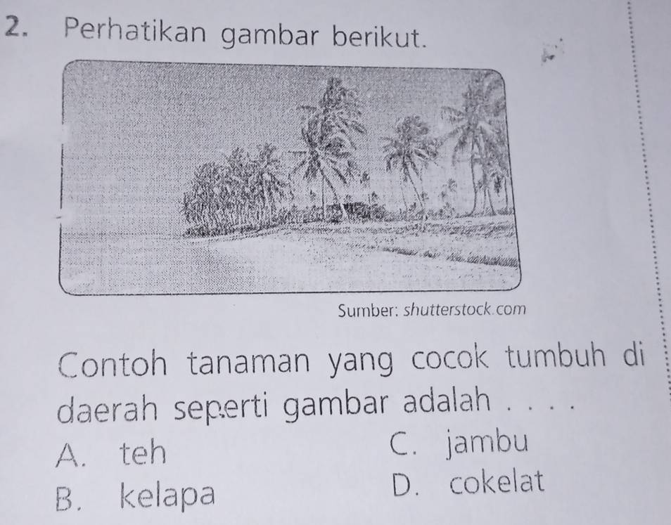 Perhatikan gambar berikut.
Sumber: shutterstock.com
Contoh tanaman yang cocok tumbuh di
daerah seperti gambar adalah . . . .
A. teh C. jambu
B. kelapa
D. cokelat