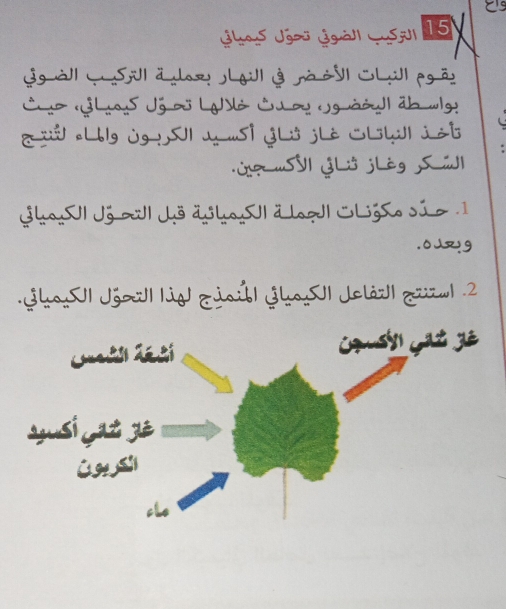 Jhas Jgaï gáll Lsjl 15 
Sgàl Sil ä Lgl3 nà 2vl CLll pgã 
Co « Lns Jğoj LNỏ CLo UguààJ| ab wg! 
T: «Lbg jg! II J «Si ýl3 jlò Slいi j 2t 
ừ «SVI GL3 jLèg Sijl 
GhaSI JjaII Jö äjhoI ä lzJ| CLgSo sã o 
.oJg 
GhaI1 Jóa| lid ziaú| ýha 1 Jolàr| zuzw1 .2