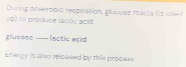 During anaerobic respiration, glucose reacts (is used 
up) to produce lactic acid. 
glucose — lactic acid 
Energy is also released by this process.