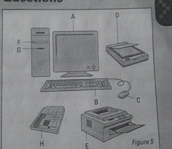 Figure 5
E