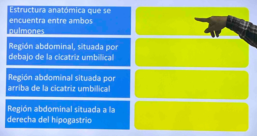 Estructura anatómica que se
encuentra entre ambos
pulmones
Región abdominal, situada por
debajo de la cicatriz umbilical
Región abdominal situada por
arriba de la cicatriz umbilical
Región abdominal situada a la
derecha del hipogastrio