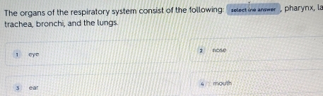 The organs of the respiratory system consist of the following: select ine answer , pharynx, la
trachea, bronchi, and the lungs.
1 eye 2 nose
3 ear 4 mouth