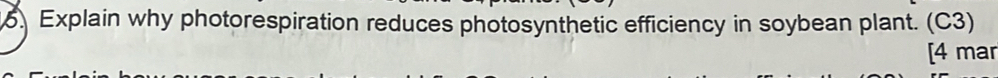 Explain why photorespiration reduces photosynthetic efficiency in soybean plant. (C3) 
[4 mar